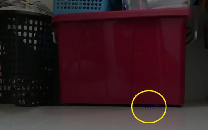 Rạng sáng thấy ánh sáng lạ dưới thùng đồ, cô gái sợ hãi rời khỏi nhà ngay khi biết đó là thứ gì Ảnh 2