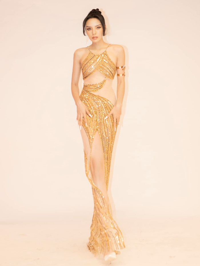 Hoa hậu Kỳ Duyên đẹp hết nấc với váy xuyên thấu, fan đẩy thuyền tới Miss Universe Ảnh 7