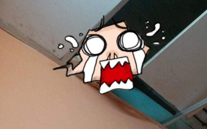 Dỡ ốp trần nhà kiểm tra vì nghe tiếng động mạnh trên mái, chủ nhà vội báo ngay cảnh sát khi thấy cảnh này Ảnh 2