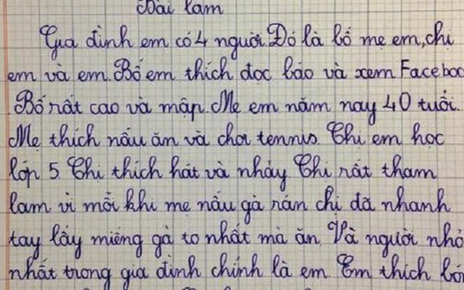 Làm văn kể về gia đình mình, bé trai lớp 2 thẳng thừng 'bóc phốt' chị gái khiến dân mạng cười ngất Ảnh 2