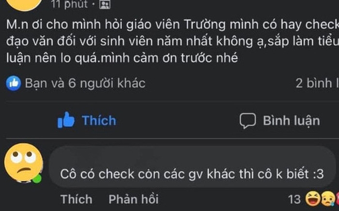 Lên mạng hỏi 'giáo viên có check lỗi đạo văn?', nam sinh liền tái mặt khi đọc được dòng bình luận này Ảnh 1