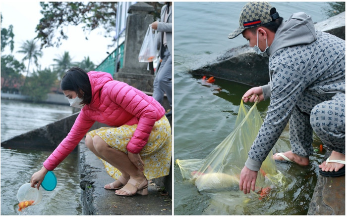 Người Hà Nội tấp nập thả cá chép 'khủng' tiễn ông Công ông Táo về trời Ảnh 2
