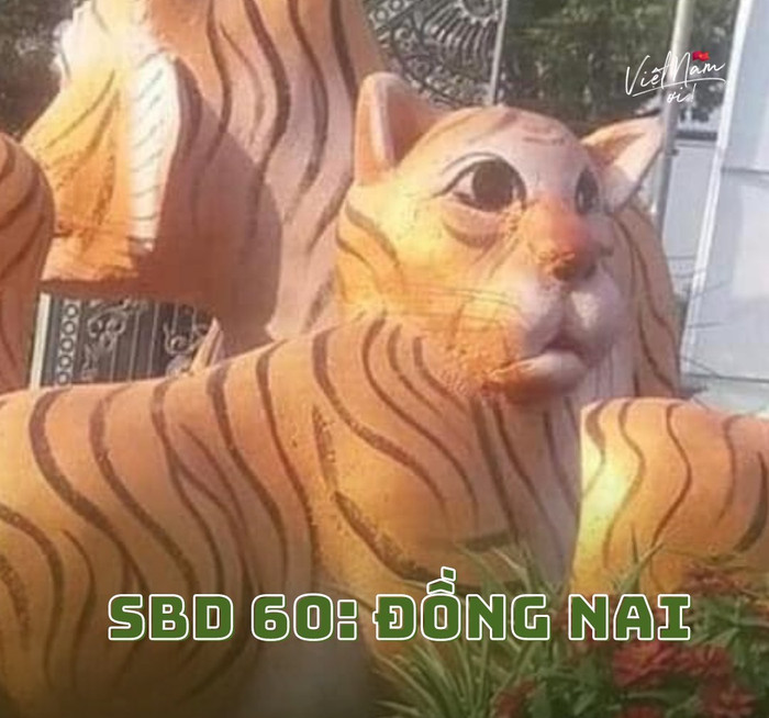 Dân mạng rần rần mở hội miss hổ: Thí sinh lai tạo giữa 4 giống loài, 'kẻ' lại dũng mãnh vô song Ảnh 1