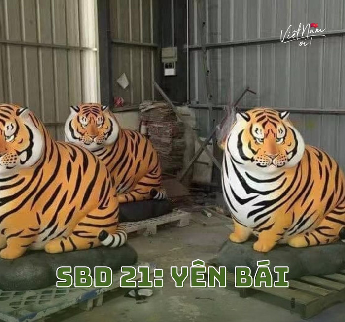 Những chú hổ hơi 'nặng nề' chút nhưng vẫn oai phong lẫm liệt lắm.