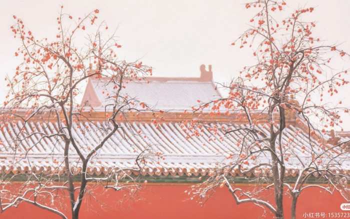 Tử Cấm Thành ngập tràn tuyết trắng, đẹp như khung cảnh trong phim Ảnh 2