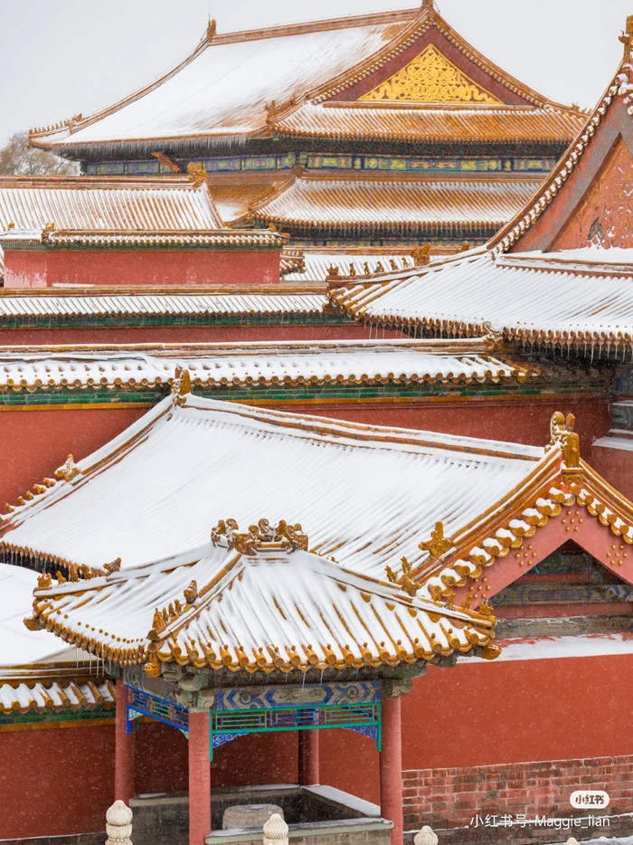 Khung cảnh đẹp vào mùa đông của Tử Cấm Thành luôn khiến nhiều tín đồ du lịch muốn ghé thăm. Không phải ai cũng may mắn được ngắm khung cảnh tuyết rơi tại đây.