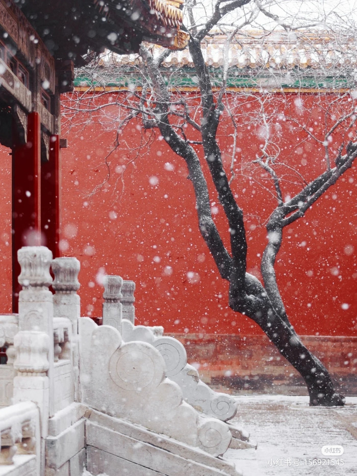 Các nhiếp ảnh gia cũng tranh thủ ghi lại những khoảnh khắc đẹp tại đây.