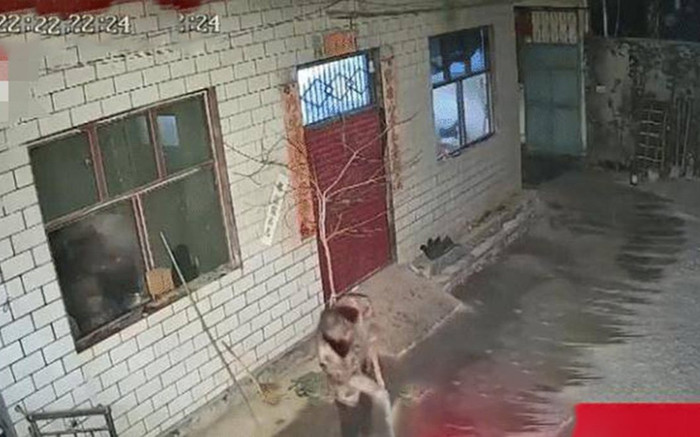 Báo với bố mẹ ngày về quê ăn Tết, con trai mở camera trước nhà ra xem thì nghẹn ngào khi thấy cảnh này Ảnh 2