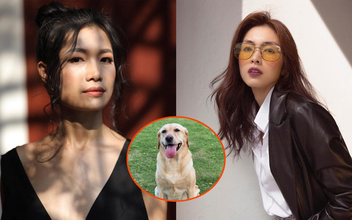 Bị đá xéo là 'máy đẻ', Hà Tăng có động thái đáp trả căng đét Ảnh 2