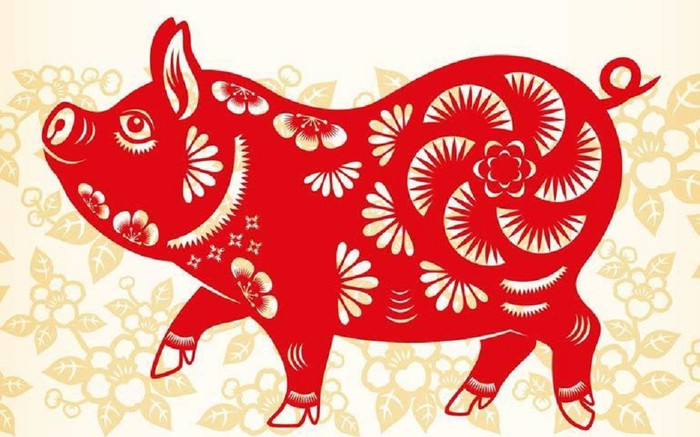 Tử vi hôm nay ngày 31/1/2022 của 12 con giáp: Tuổi Hợi hanh thông, thuận lợi cả công việc lẫn tình cảm Ảnh 2