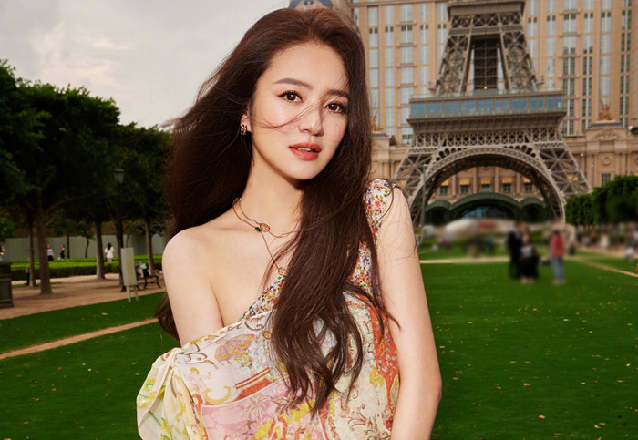 Cảnh sát tiết lộ nguyên nhân chồng An Dĩ Hiên bị bắt: Phạm tội rửa tiền, tổ chức đánh bạc bất hợp pháp Ảnh 9