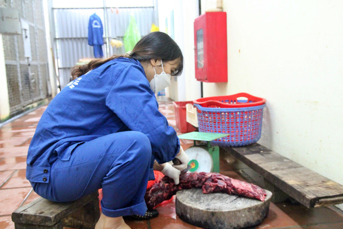 Các chú hổ dịp năm mới được chăm sóc với những quy trình nghiêm ngặt, đảm bảo sức khoẻ.