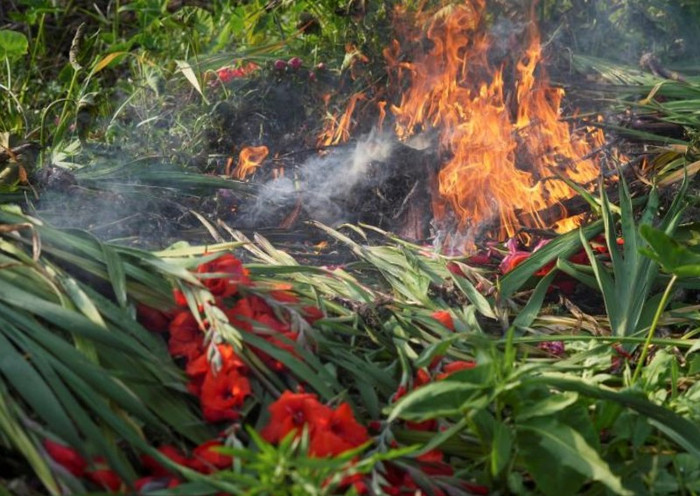 Chợ Tết vắng tanh vì Covid-19, nông dân Hong Kong đau xót đốt bỏ hoa Ảnh 3