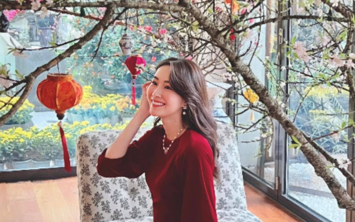 Mỹ nhân Việt diện áo dài đơn sắc đón Tết: Đặng Thu Thảo không hổ danh 'thần tiên tỷ tỷ' Ảnh 2