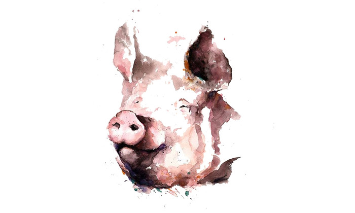 Tử vi hôm nay thứ 5 ngày 3/2/2022 của 12 con giáp: Tuổi Thìn xảy ra bất hòa, Tuổi Sửu tình cảm khởi sắc Ảnh 14