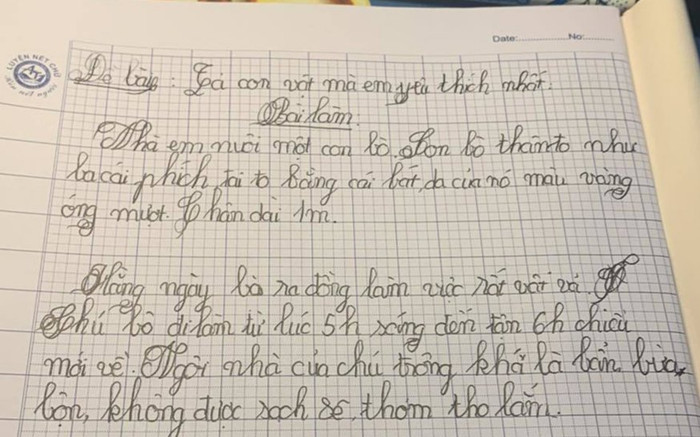 Say sưa làm văn tả con bò, HS tiểu học khiến dân mạng cười ngất khi đọc đến câu cuối cùng Ảnh 2