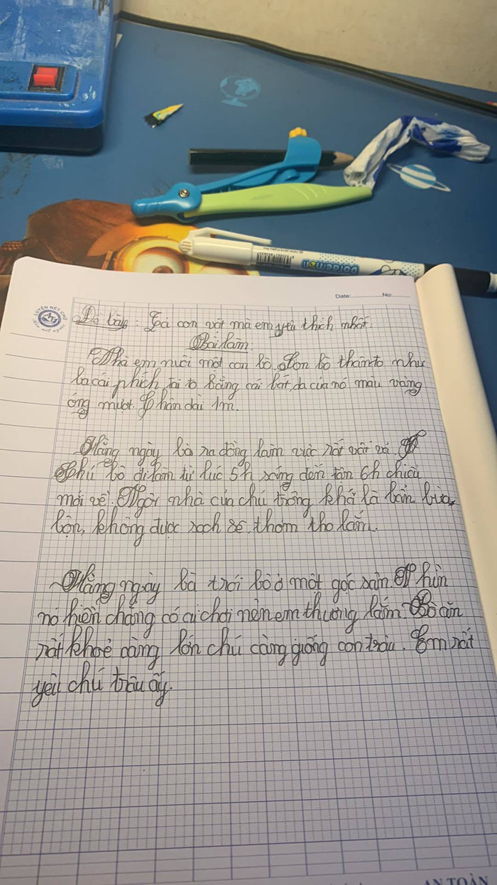 Say sưa làm văn tả con bò, HS tiểu học khiến dân mạng cười ngất khi đọc đến câu cuối cùng Ảnh 3