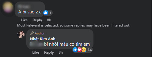 Khi một người thân hỏi thăm bệnh tình của anh trai, Nhật Kim Anh cho biết anh mình bị nhồi máu cơ tim.