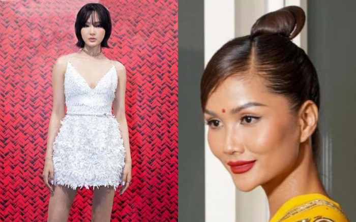 Những lần sao Việt dính nghi án dao kéo vì gương mặt khác lạ: Hiền Hồ thứ hai thì không ai thứ nhất Ảnh 2