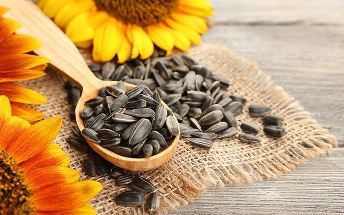 Những nguy hiểm tiềm tàng khi ăn quá nhiều hạt hướng dương dịp Tết Ảnh 2