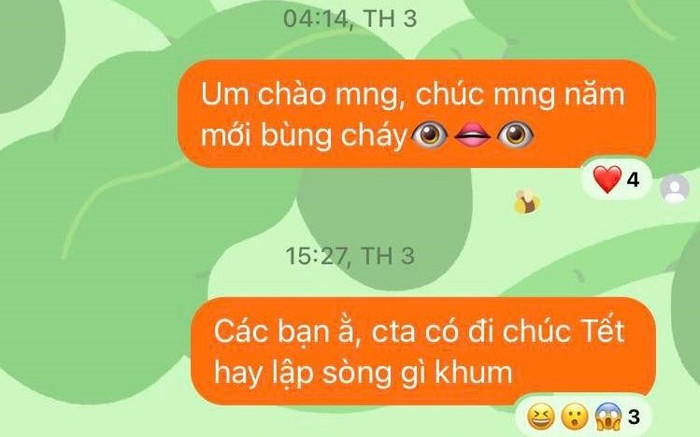 Nam sinh hào hứng gửi tin nhắn rủ họp mặt dịp Tết nhưng phản ứng của cả lớp mới gây ngỡ ngàng Ảnh 2