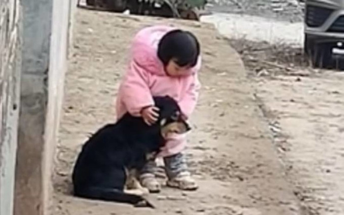 Bé gái lấy tay bịt tai chó cưng khi tiếng pháo hoa nổ vang trời Ảnh 2