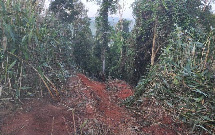 Danh tính 6 nạn nhân tử vong trong cabin xe tải lao xuống vực sâu lúc rạng sáng Ảnh 2