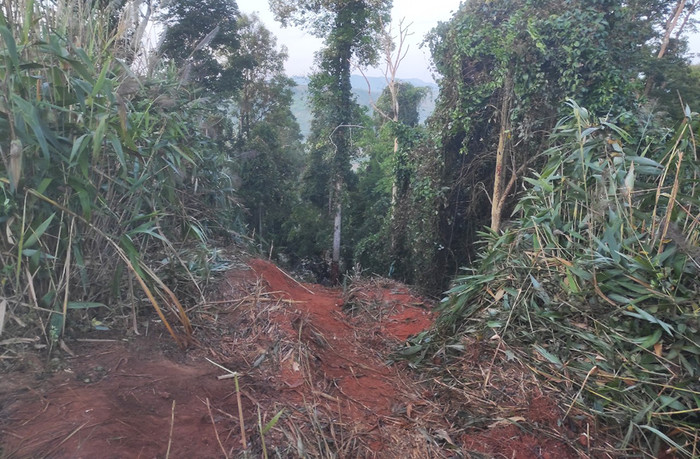 Vị trí xảy ra tai nạn. Ảnh: ATGT