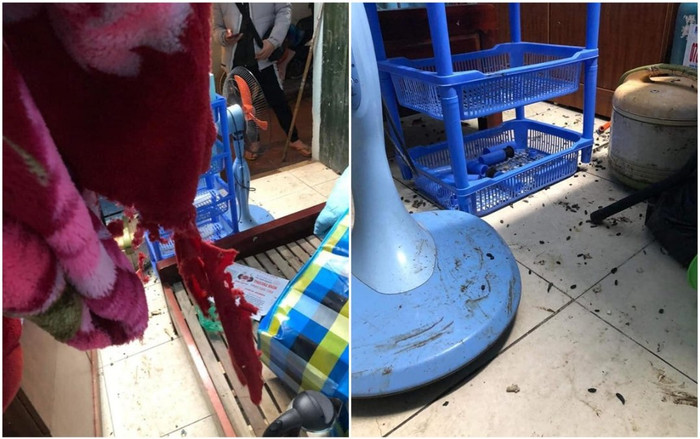 Trở lại thành phố sau thời gian dài tránh dịch, nam sinh 'khóc thét' khi thấy cảnh tượng trong phòng trọ Ảnh 2