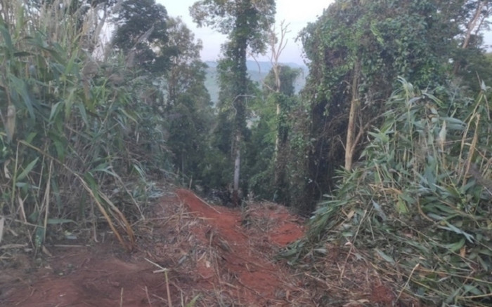 Bộ Công an chỉ đạo điều tra vụ tai nạn thảm khốc khiến 6 người chết ở Gia Lai Ảnh 2