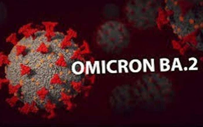 Biến thể phụ BA.2 của Omicron hiện đã lan ra 67 nước nguy hiểm đến mức nào? Ảnh 2