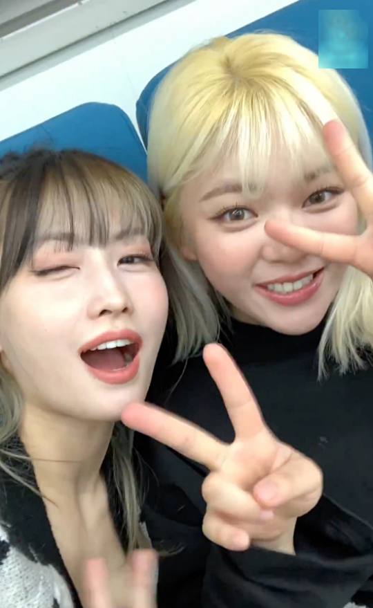 Jeongyeon (Twice) xuất hiện cùng MoMo.