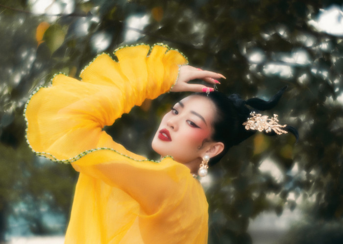 Hoa hậu Khánh Vân tung bộ ảnh áo dài ma mị, đẹp bí ẩn như một bức tranh Ảnh 11