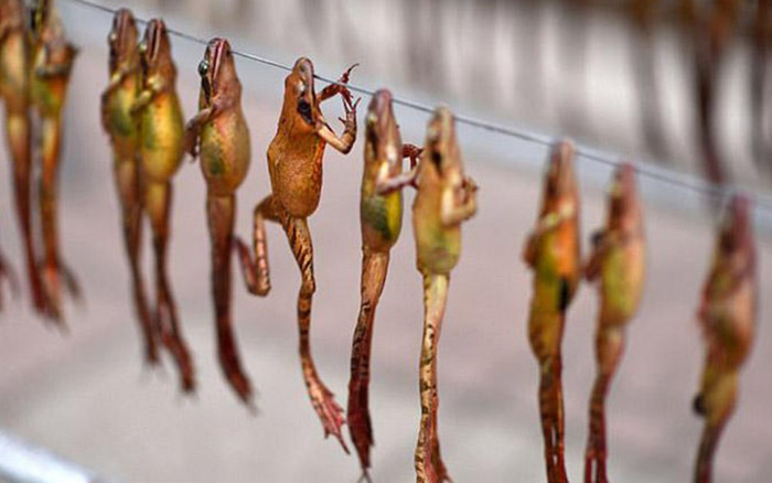 Món ăn ghê rợn được tôn vinh là bí quyết dưỡng nhan cho Hoàng đế Ảnh 2