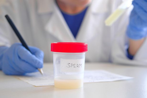 Con càng lớn càng giống bác sĩ làm thụ tinh cho, cặp vợ chồng hiếm muộn ngã quỵ khi biết sự thật Ảnh 2