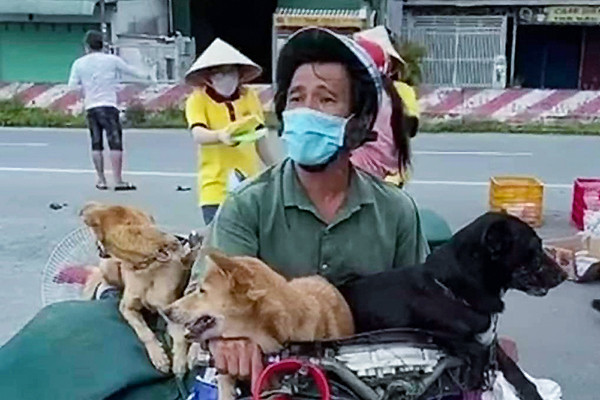 Phỏng vấn độc quyền chủ nhân 15 chú chó bị tiêu hủy ở Cà Mau: 'Tôi đã liên hệ với cô Di Băng giải thích' Ảnh 2