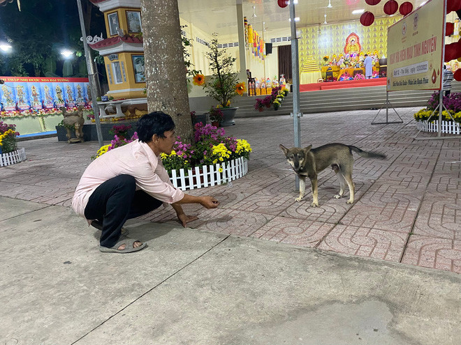 Chủ nhân đàn chó bị tiêu hủy: 'Cuộc hội ngộ đầy xúc cảm với chú chó cuối cùng còn sống' Ảnh 3