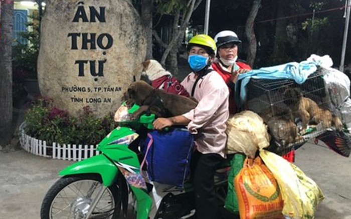 Chủ nhân đàn chó bị tiêu hủy: 'Cuộc hội ngộ đầy xúc cảm với chú chó cuối cùng còn sống' Ảnh 2