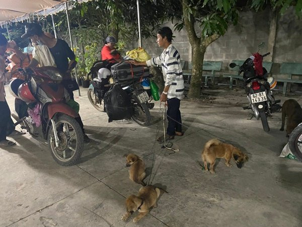 Chủ nhân đàn chó bị tiêu hủy: 'Cuộc hội ngộ đầy xúc cảm với chú chó cuối cùng còn sống' Ảnh 4