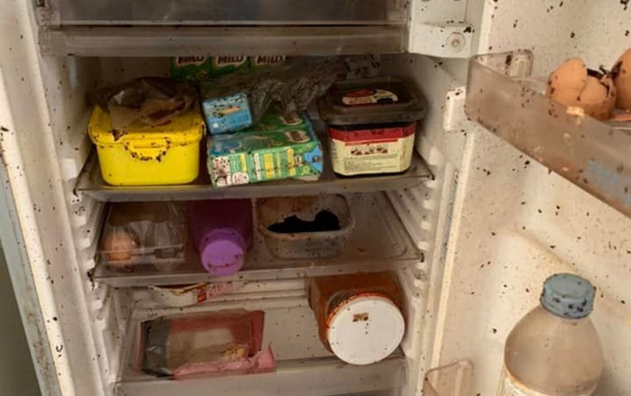 Trở lại ký túc xá sau thời gian dài, sinh viên khóc thét khi chứng kiến cảnh tượng ám ảnh trong tủ lạnh Ảnh 2