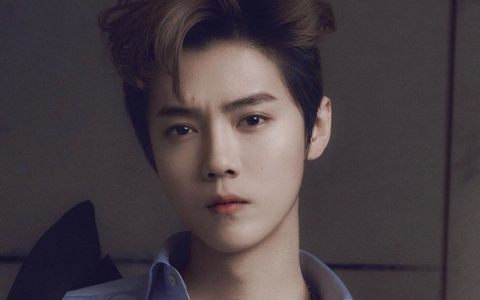 Lộc Hàm bất ngờ được Cnet 'triệu hồi' sau vụ ly hôn của Ngô Thiến - Trương Vũ Kiếm, chuyện gì đây? Ảnh 2