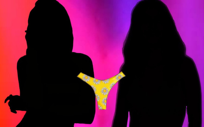 Fandom của 2 nữ nghệ sĩ đình đám 'choảng' nhau tới bến chỉ vì một chiếc... quần chip Ảnh 2