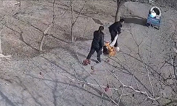 Cô gái bị kéo lên trên mặt đất. 