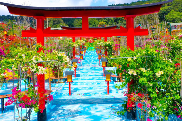 Xin hãy đừng thay cây cối thành hàng giả như thế này tại Đà Lạt.