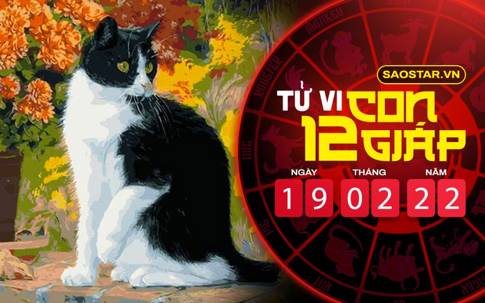 Tử vi hôm nay thứ 7 ngày 19/2/2022 của 12 con giáp: Tý được quý nhân giúp đỡ, Mão bị hung tinh rình rập Ảnh 2