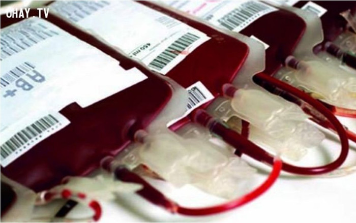 Người đàn ông bị bắt cóc làm 'nô lệ máu', rút mất 800ml mỗi tháng Ảnh 2