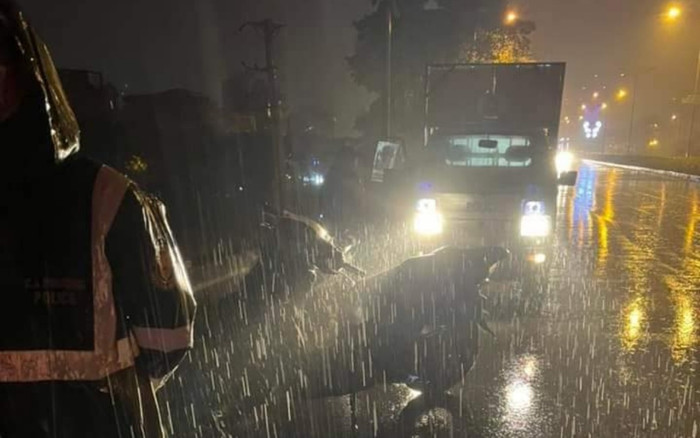 Công an Hà Nội truy tìm tài xế xe bán tải tông trúng 3 cô gái rồi bỏ chạy Ảnh 2