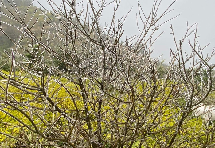 Khu vực Cổng trời Ô Quý Hồ.