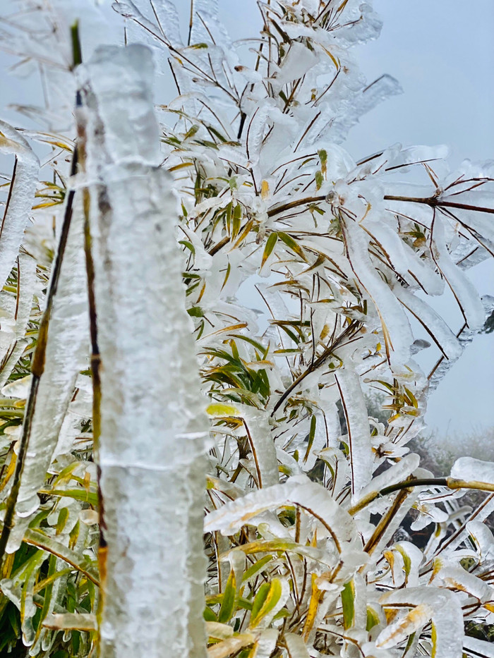 Lạnh giá nhưng lại tuyệt đẹp. 