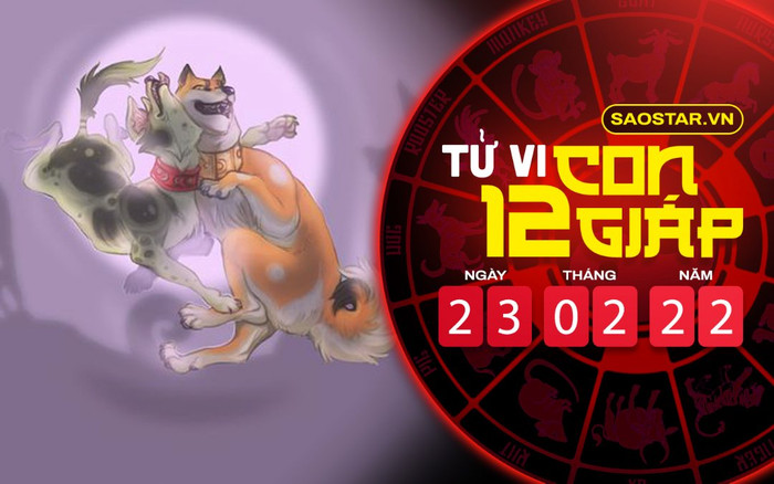 Tử vi hôm nay thứ 4 ngày 23/2/2022 của 12 con giáp: Tý được Thần Tài chiếu cố, Tuất chịu nhiều áp lực Ảnh 2